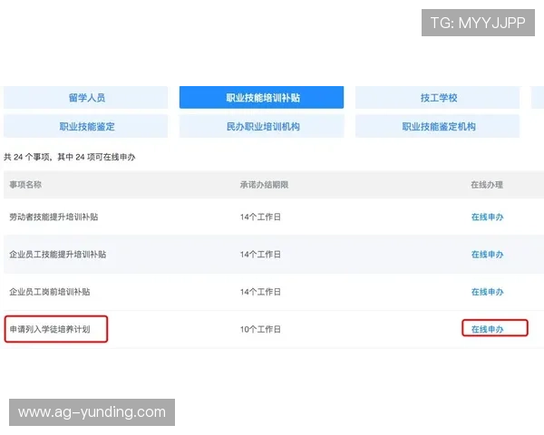 云顶4008集团手机登录流程详解，确保账号安全畅快体验