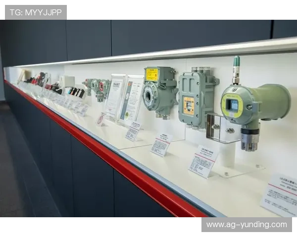 了解4008云顶集团的企业文化、管理理念与行业竞争优势分析