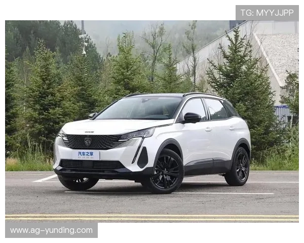 4008集团官网的产品创新与技术研发最新进展 4008集团官网的产品创新与技术研发最新进展