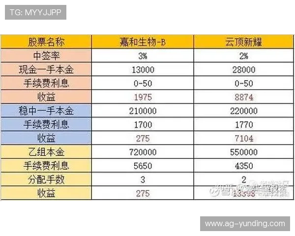 云顶新耀官网攻略大全，全面解析英雄技能、阵容搭配与战术策略