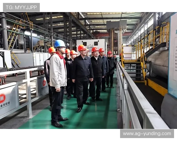 云顶集团简介概况：云顶集团在行业中的地位与未来发展战略展望