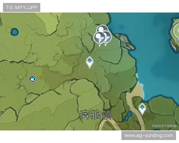 如何通过云顶官方网站获取最全的游戏攻略与玩家交流平台