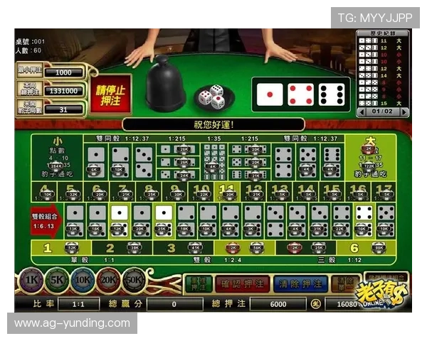 新手必看：骰宝赔率基础知识及实用技巧快速入门指南