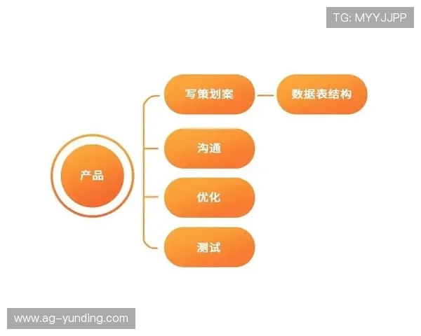 详细解析云顶国际平台游戏的玩法流程和新手入门必备攻略